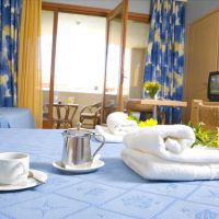 theartemis palace hotel
