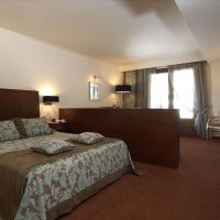theartemis palace hotel