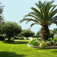 trikorfo beach maisonettes