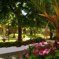 village mare
