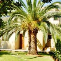 villas stamatiadis sani cape