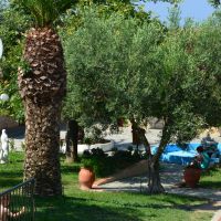 village mare