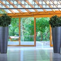 apollonia beach resort & spa
