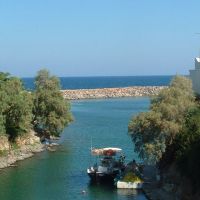 palm bay sissi