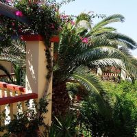 palm bay sissi