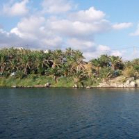 palm bay sissi