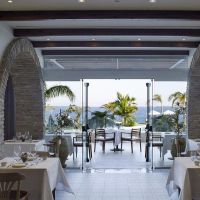 the royal apollonia