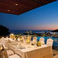 the royal apollonia