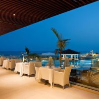 the royal apollonia