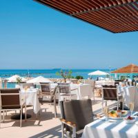 the royal apollonia