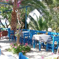 palm bay sissi