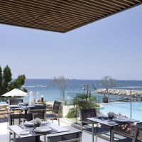 the royal apollonia
