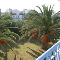 gorgona