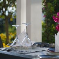 the raga side 16+ fine dining hotel