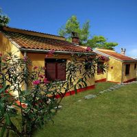 kanegra apartments umag