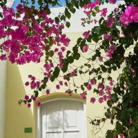 troulis apart hotel