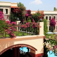 zeytinada hotel