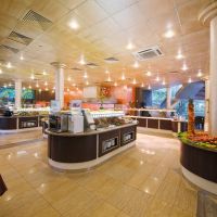mimosa sunshine hotel cooee