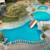 mimosa sunshine hotel cooee