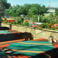 villa elinor_gw