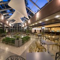 mimosa sunshine hotel cooee