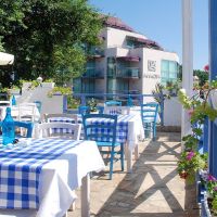mimosa sunshine hotel cooee