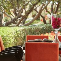 elounda palm hotel