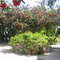 simple hotel hersonissos sky
