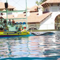 Turkiz Resort Hotel (expalmet Hotels Turkiz)