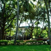 peacock beach hotel
