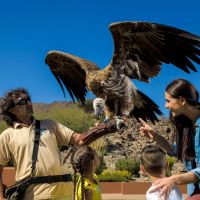 kalba kingfisher lodge