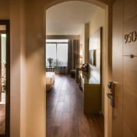 the village at the cove rotana