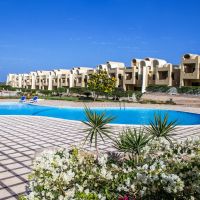 gravity sahl hasheesh (ex. ocean breeze sahl hasheesh)