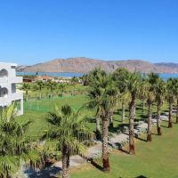delfina beach