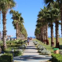 delfina beach