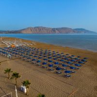 delfina beach
