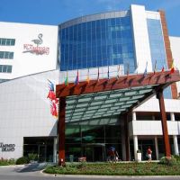 flamingo grand