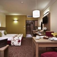 flamingo grand