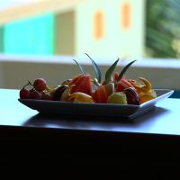 rani beach resort