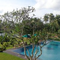 south lake resort