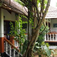 hotel flower garden