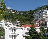 bjeli angel