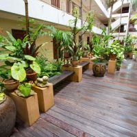 bella villa serviced apartment