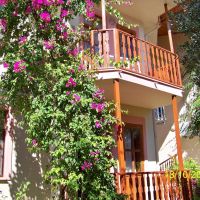 club turkuaz garden hotel