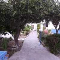 kefalonitis hotel apts