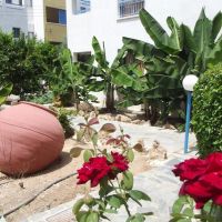 kefalonitis hotel apts