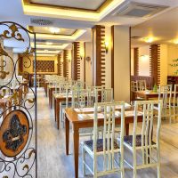 grifid metropol hotel