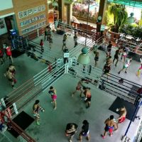 floral hotel dolphin circle pattaya