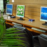 floral hotel dolphin circle pattaya