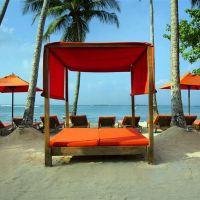 calamander unawatuna beach